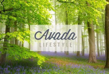 Avada lifestyle demo